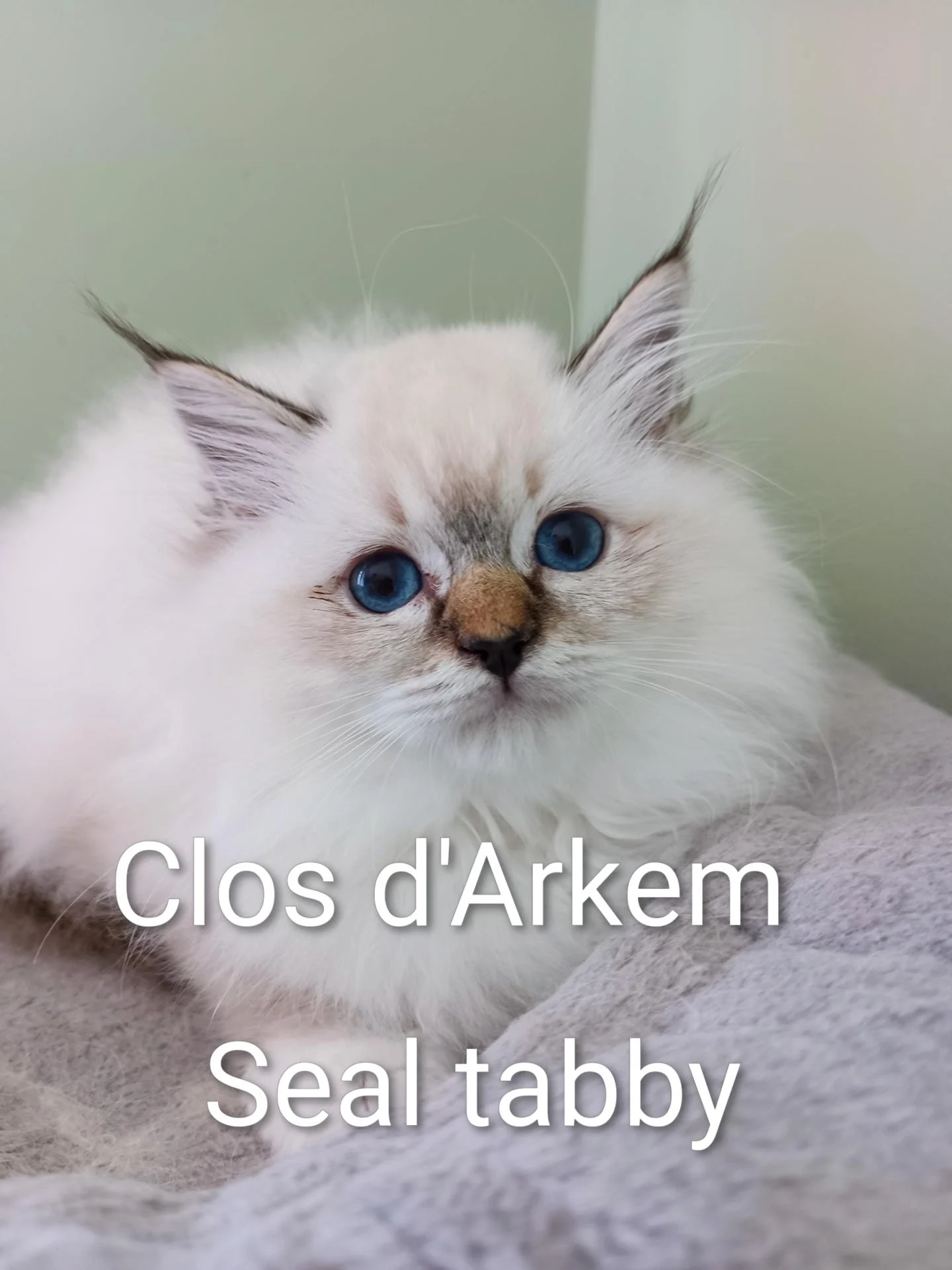 Img 20250802 171721 642 2