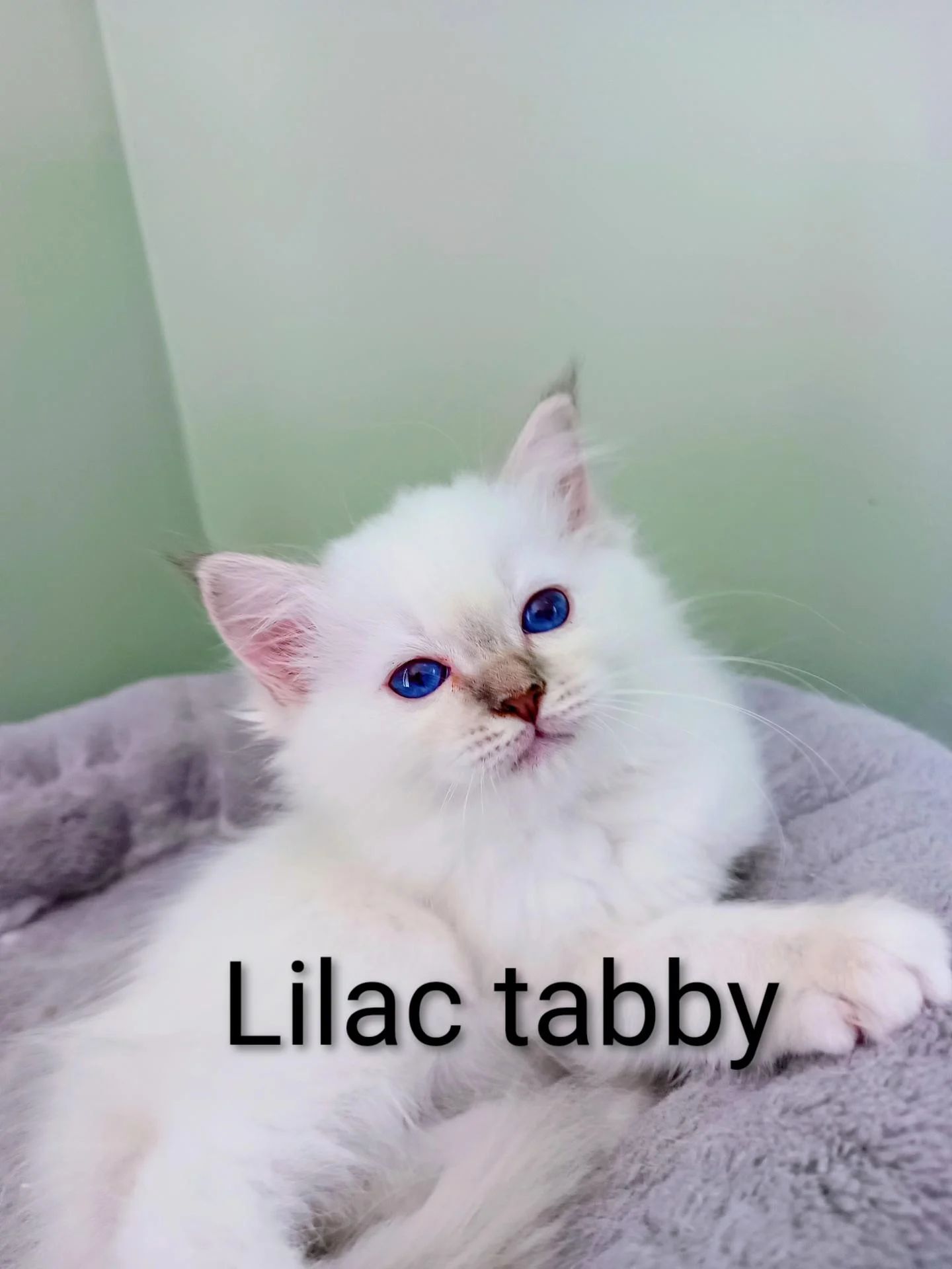 Img 20250807 120025 476 4