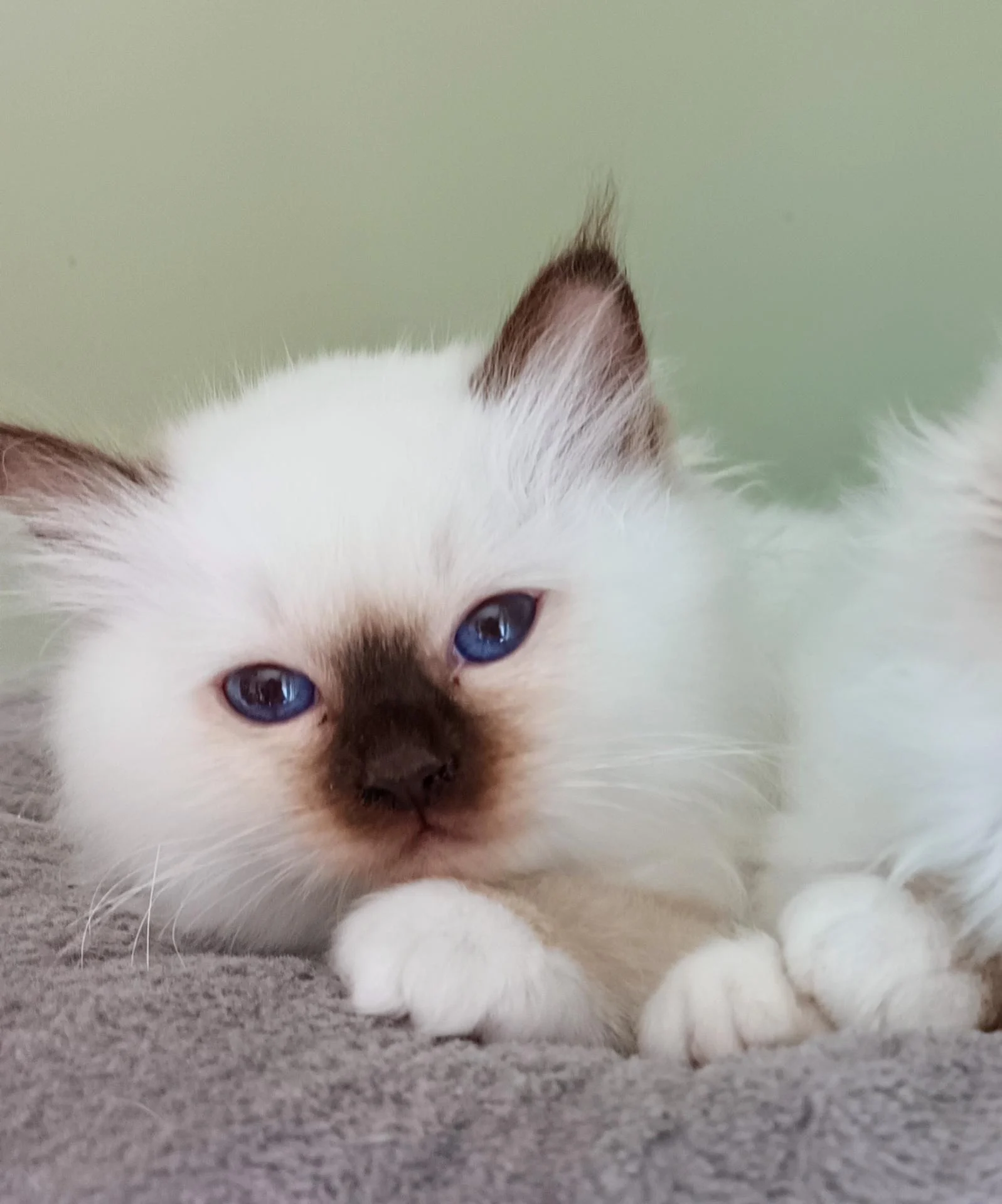 Img 20250424 141429 409