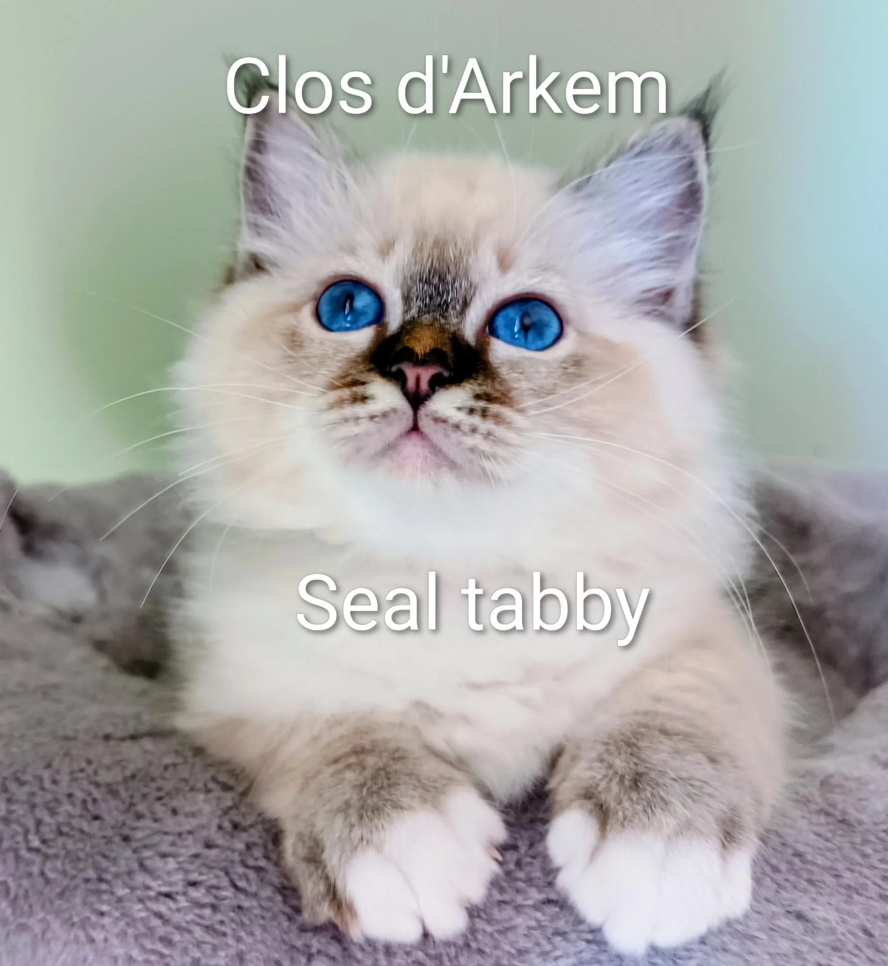 Img 20250818 110738 533 3