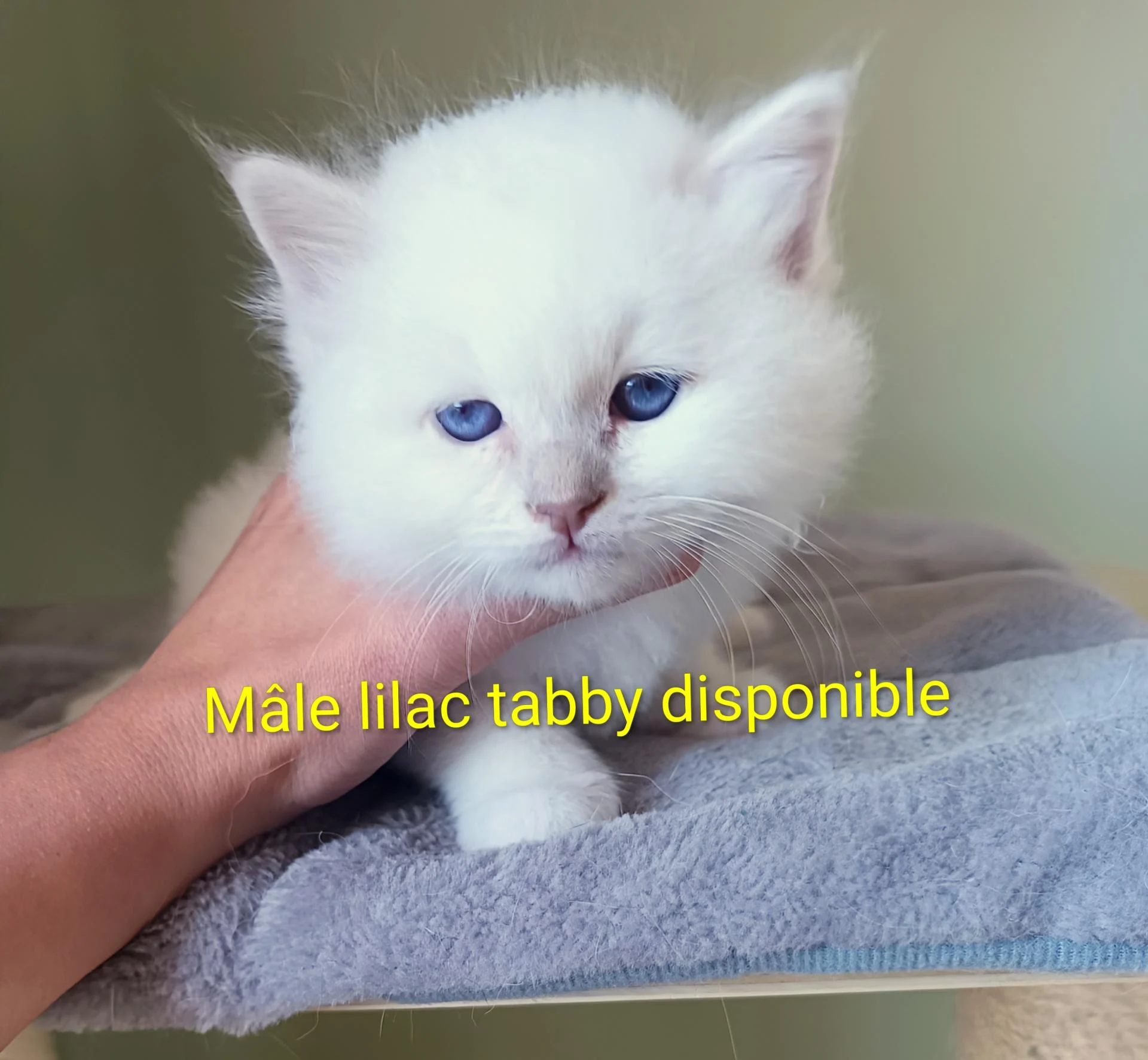 Img 20251103 122031 726 3