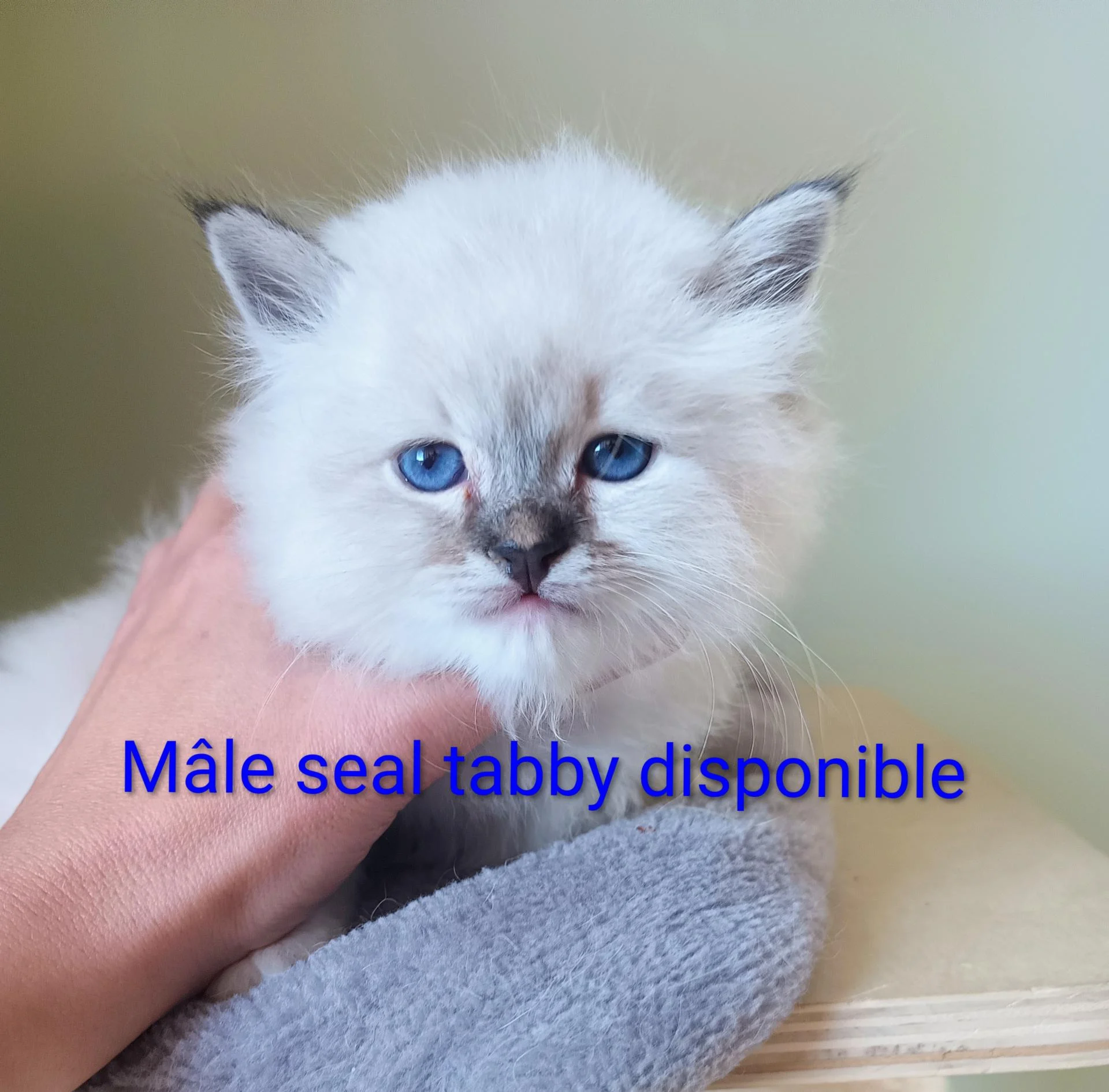 Img 20251103 122103 719 3