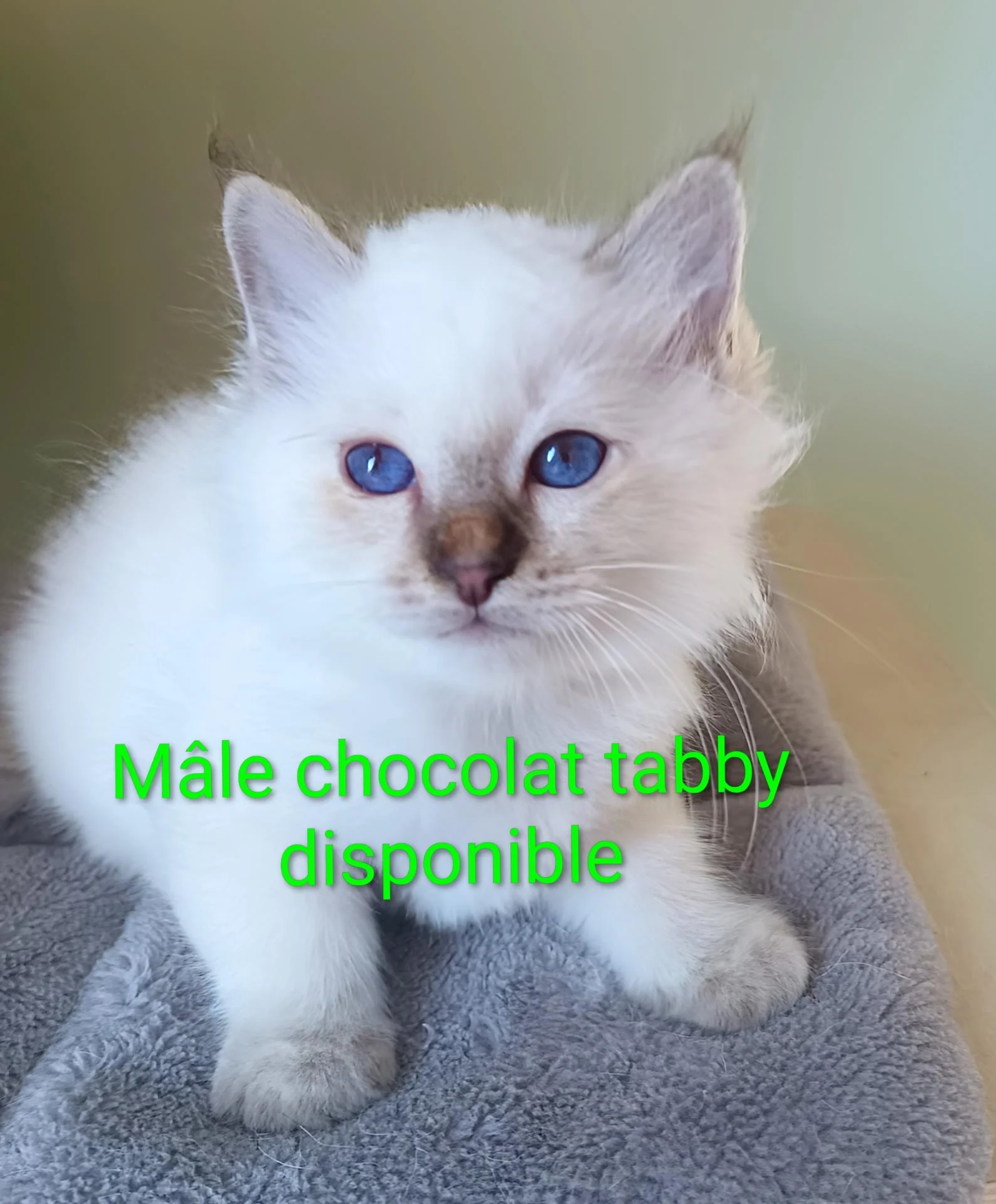 Img 20251103 125614 117 3