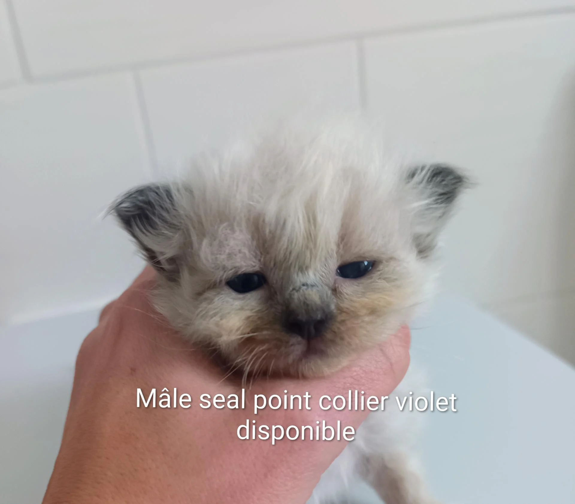 Img 20251210 142156 056 3