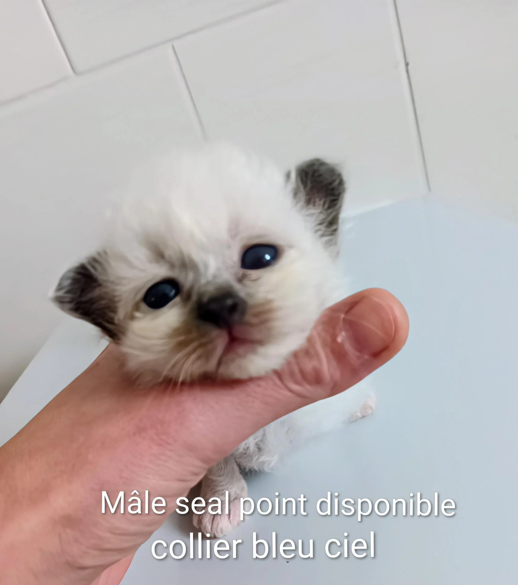 Img 20251210 142330 246 3