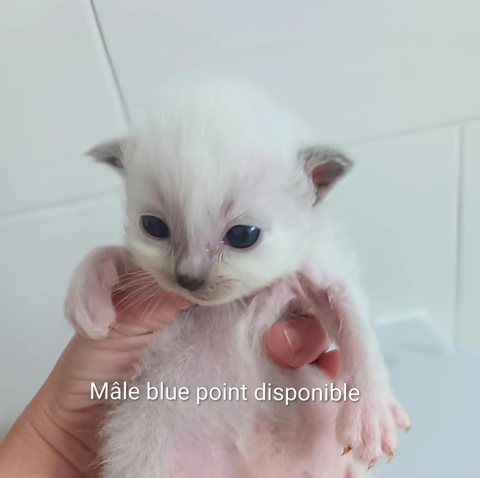 Img 20251210 142358 412 3