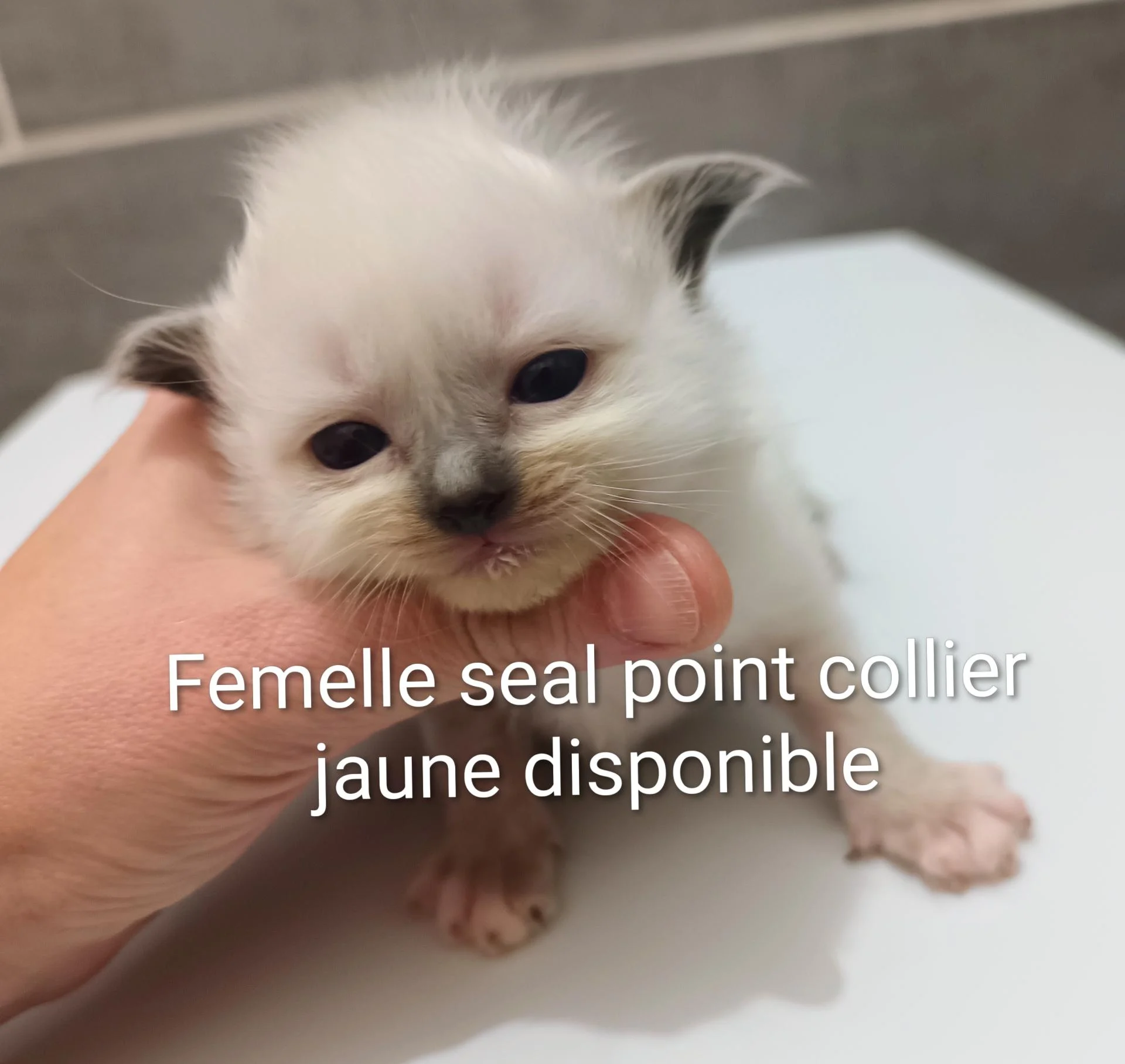 Img 20251210 175217 086 2