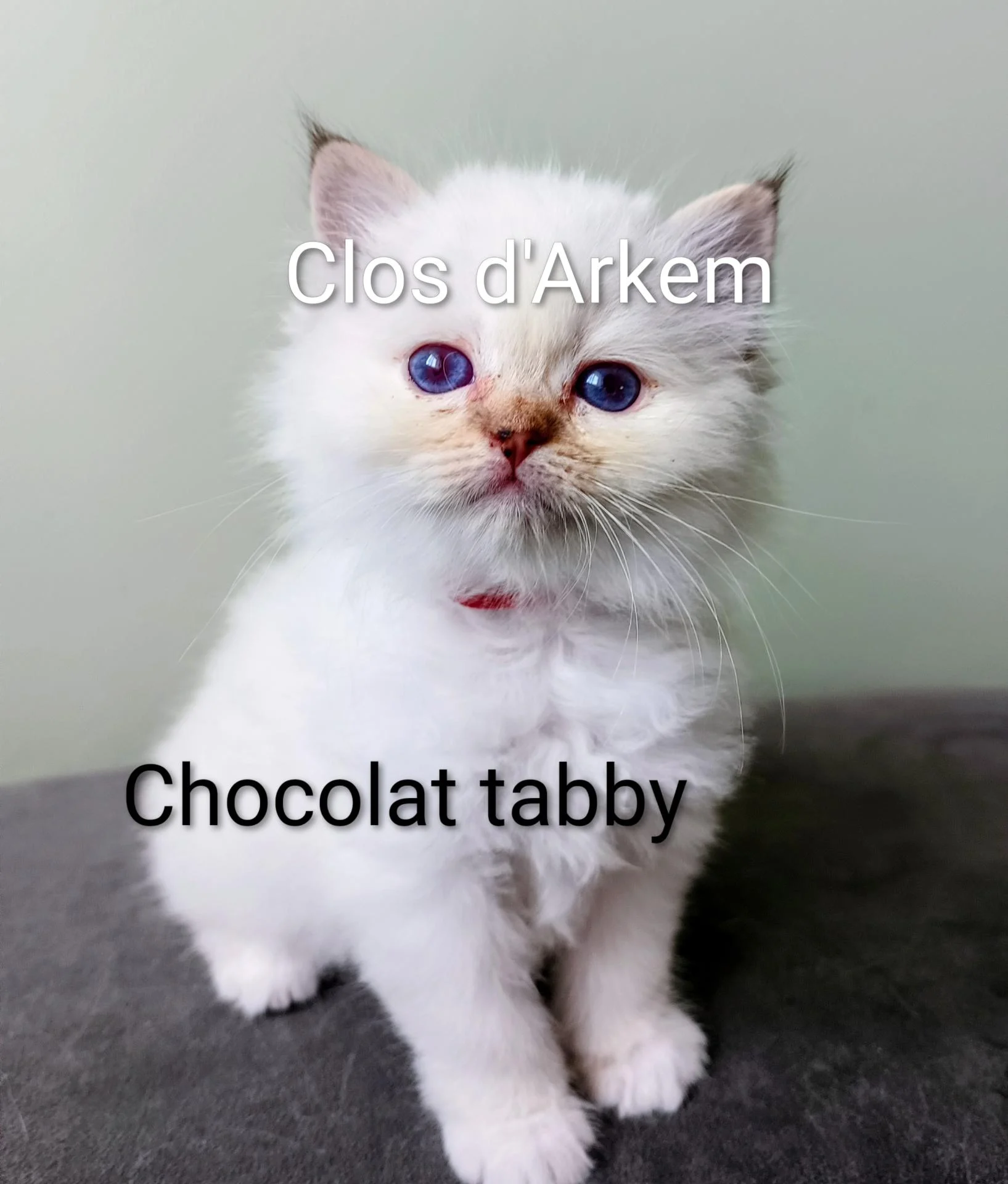 Img 20260113 124615 997 3