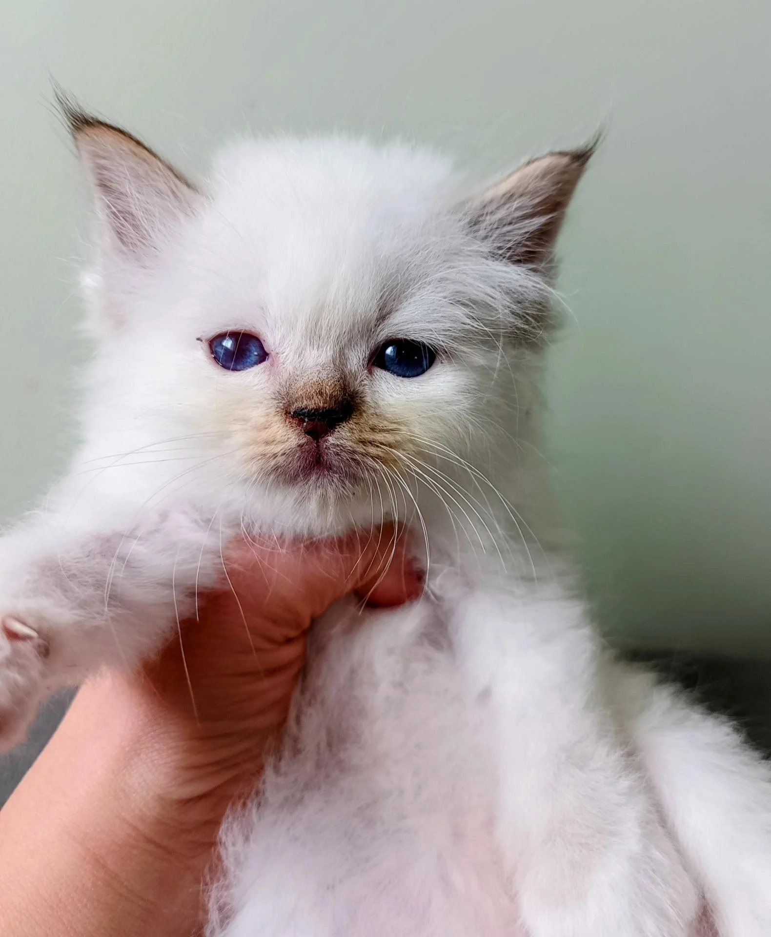 Img 20260113 125203 578 2