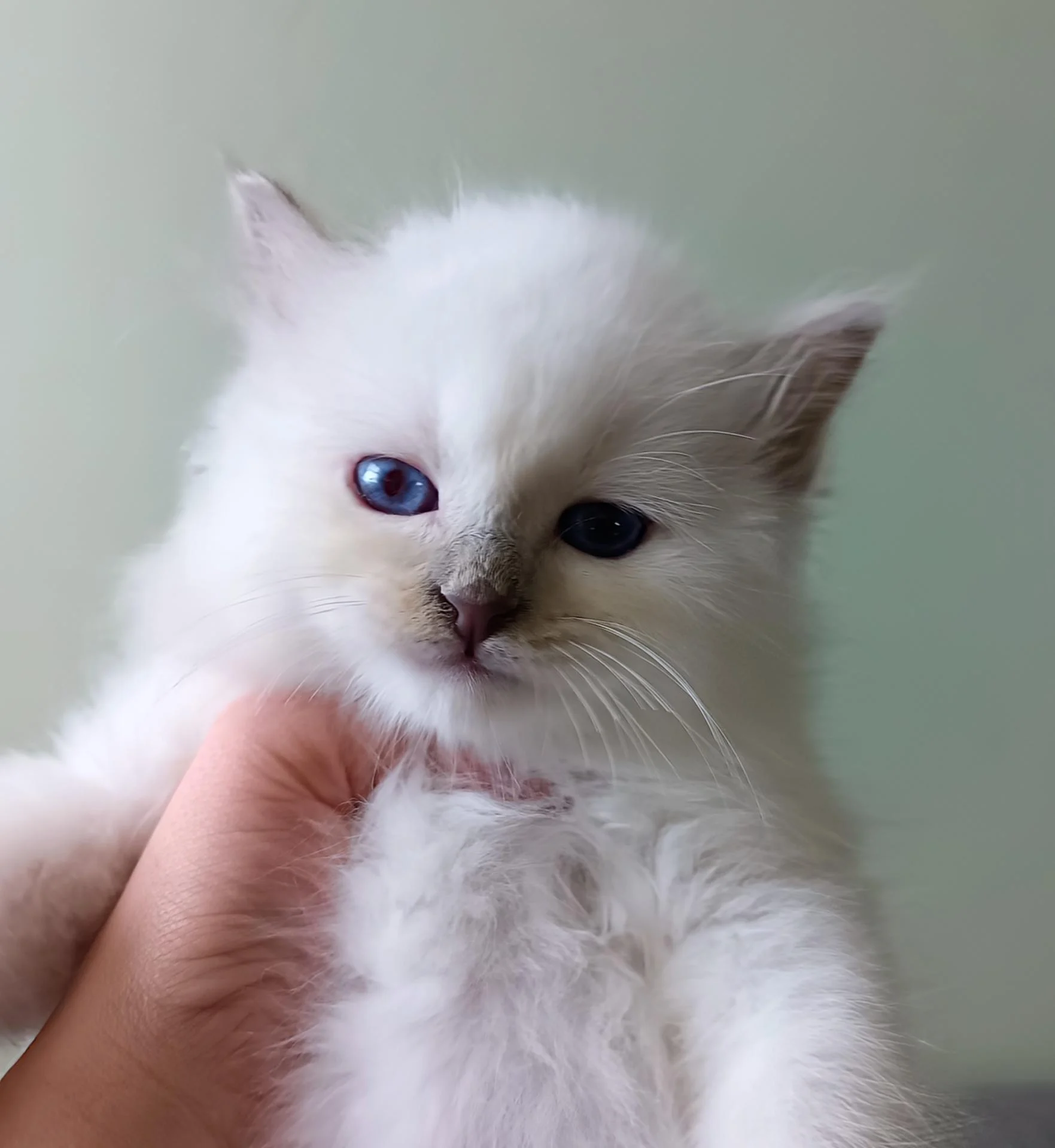 Img 20260113 130529 017 2