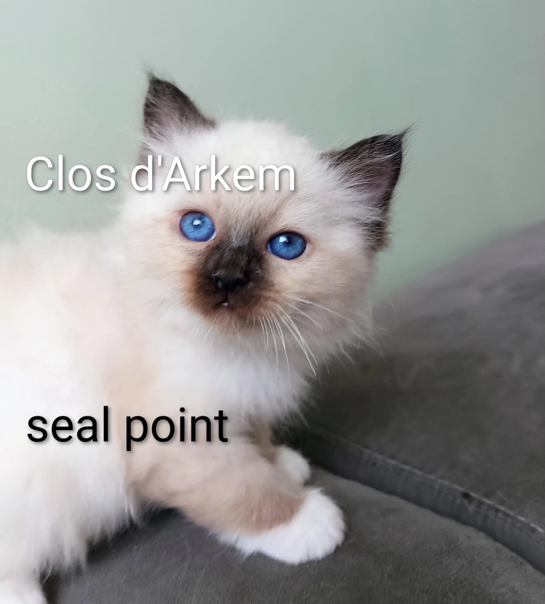 Img 20260113 130728 683 3