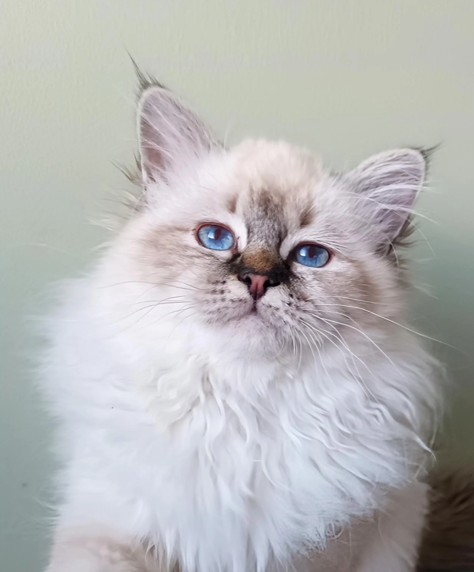 Img 20260206 170216 944 2