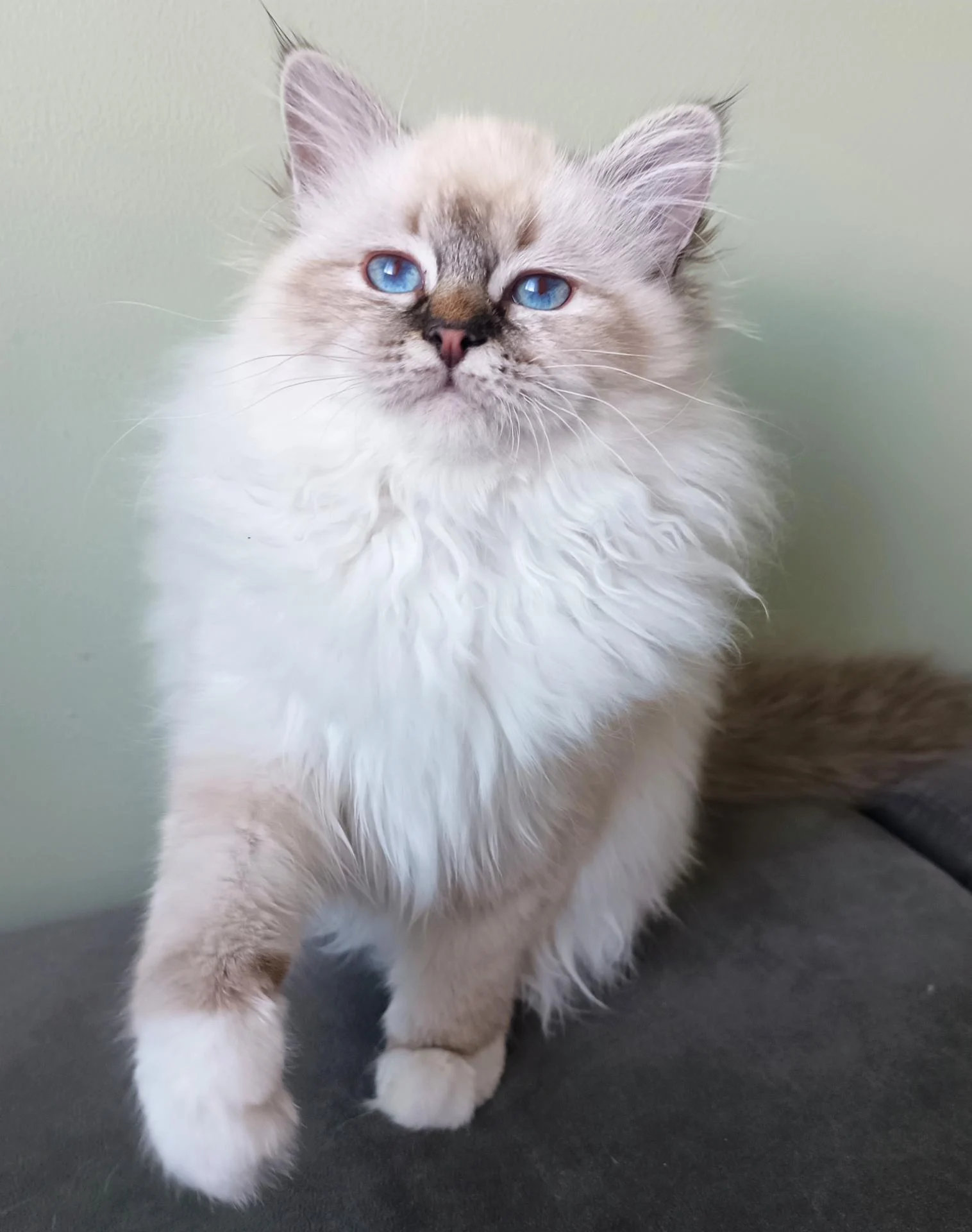 Img 20260206 170224 406 2