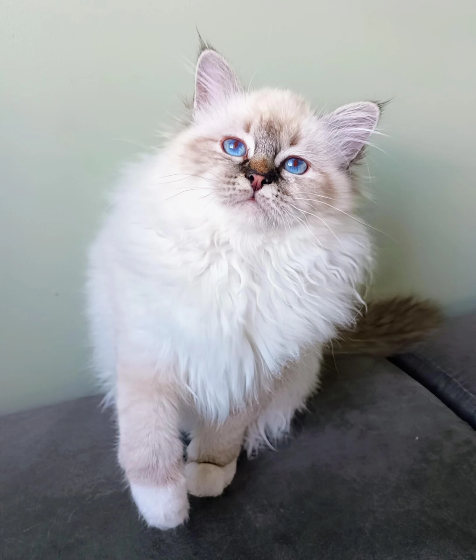 Img 20260206 170240 280 2