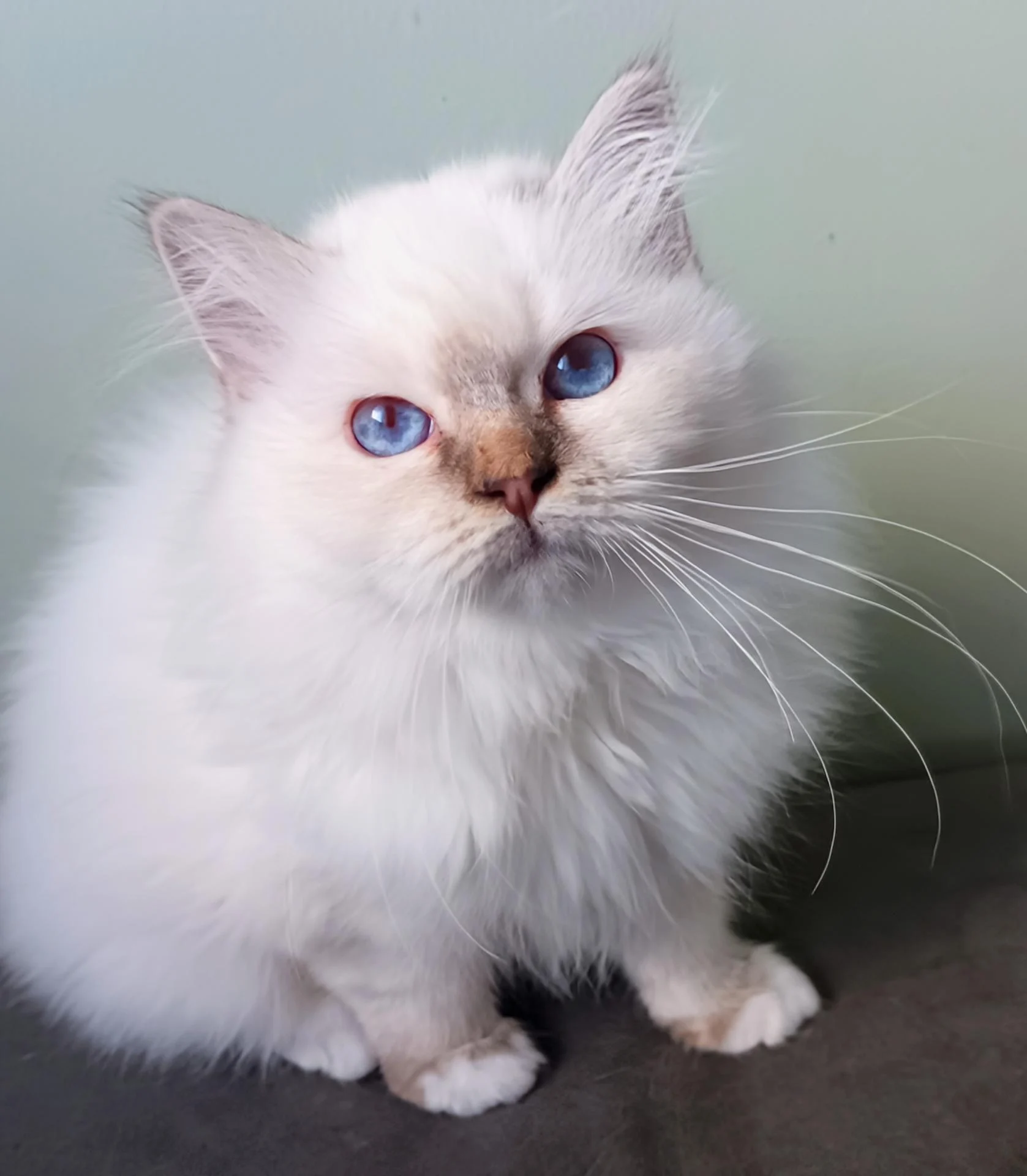 Img 20260206 170655 829 2