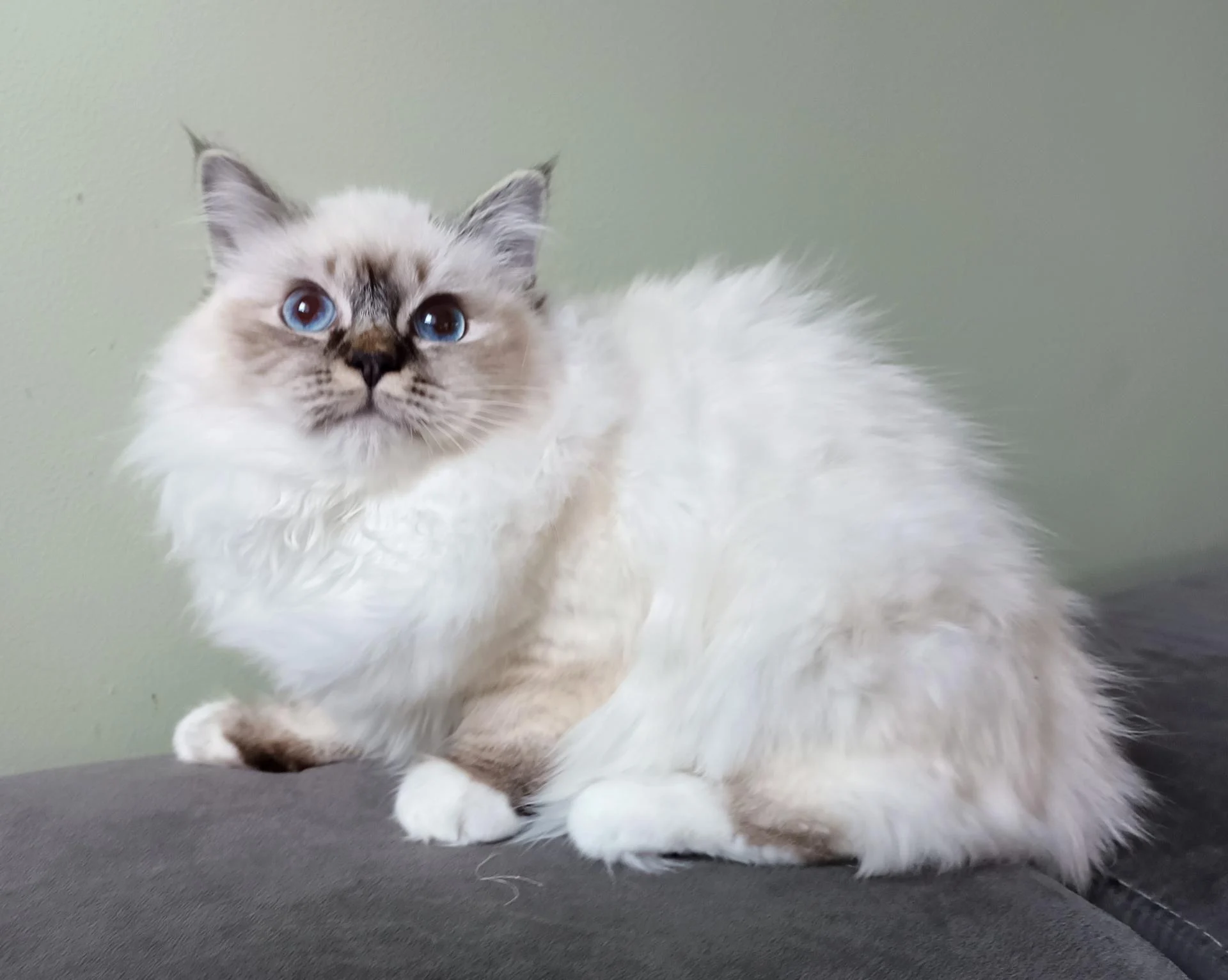 Img 20260206 171716 910 2