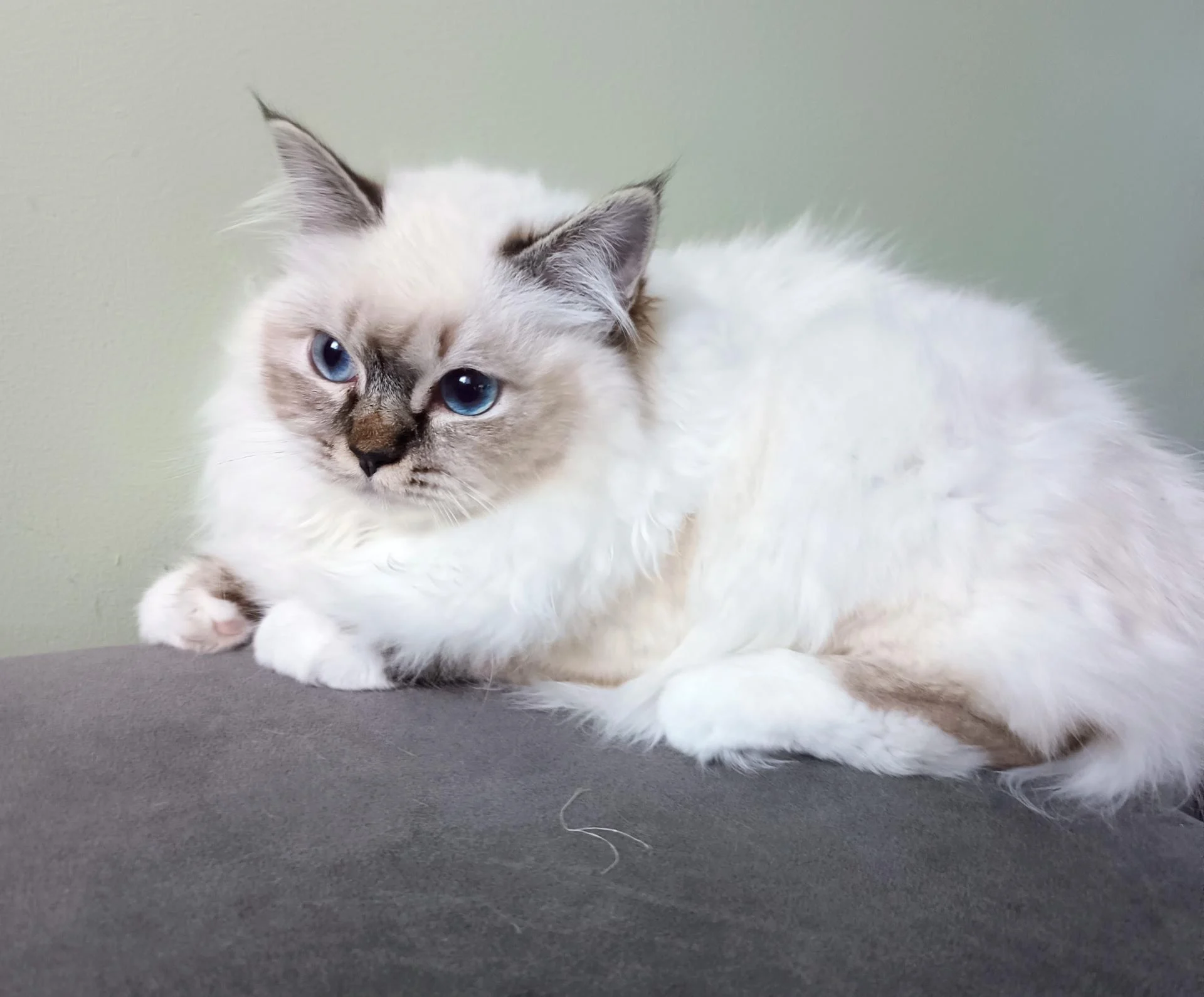 Img 20260206 171750 011 2