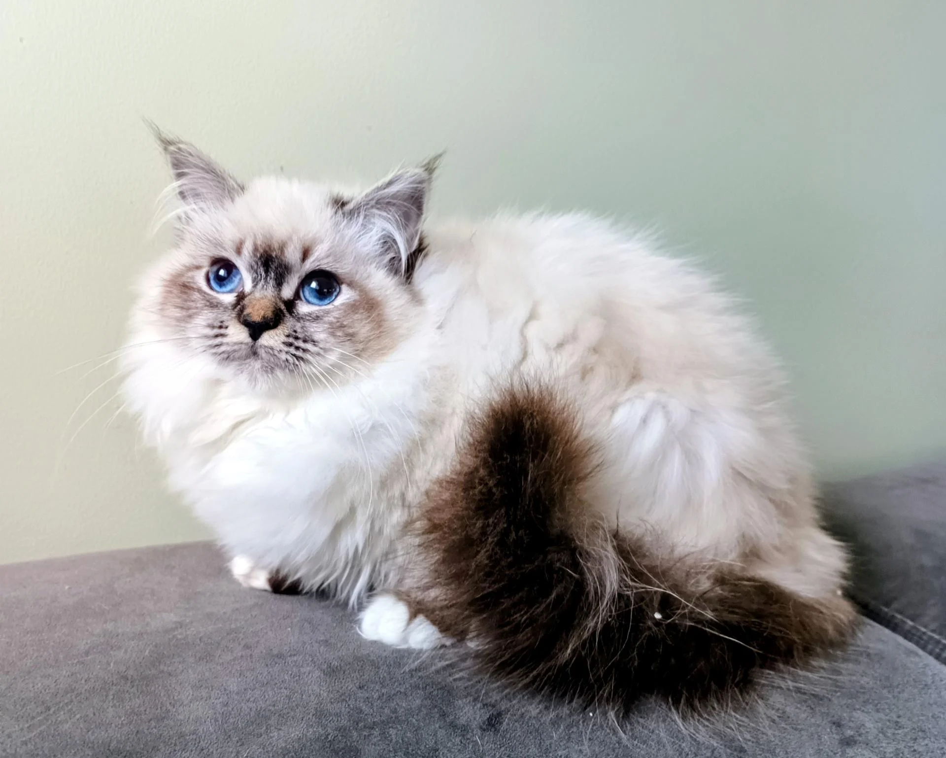 Img 20260206 172003 242 2