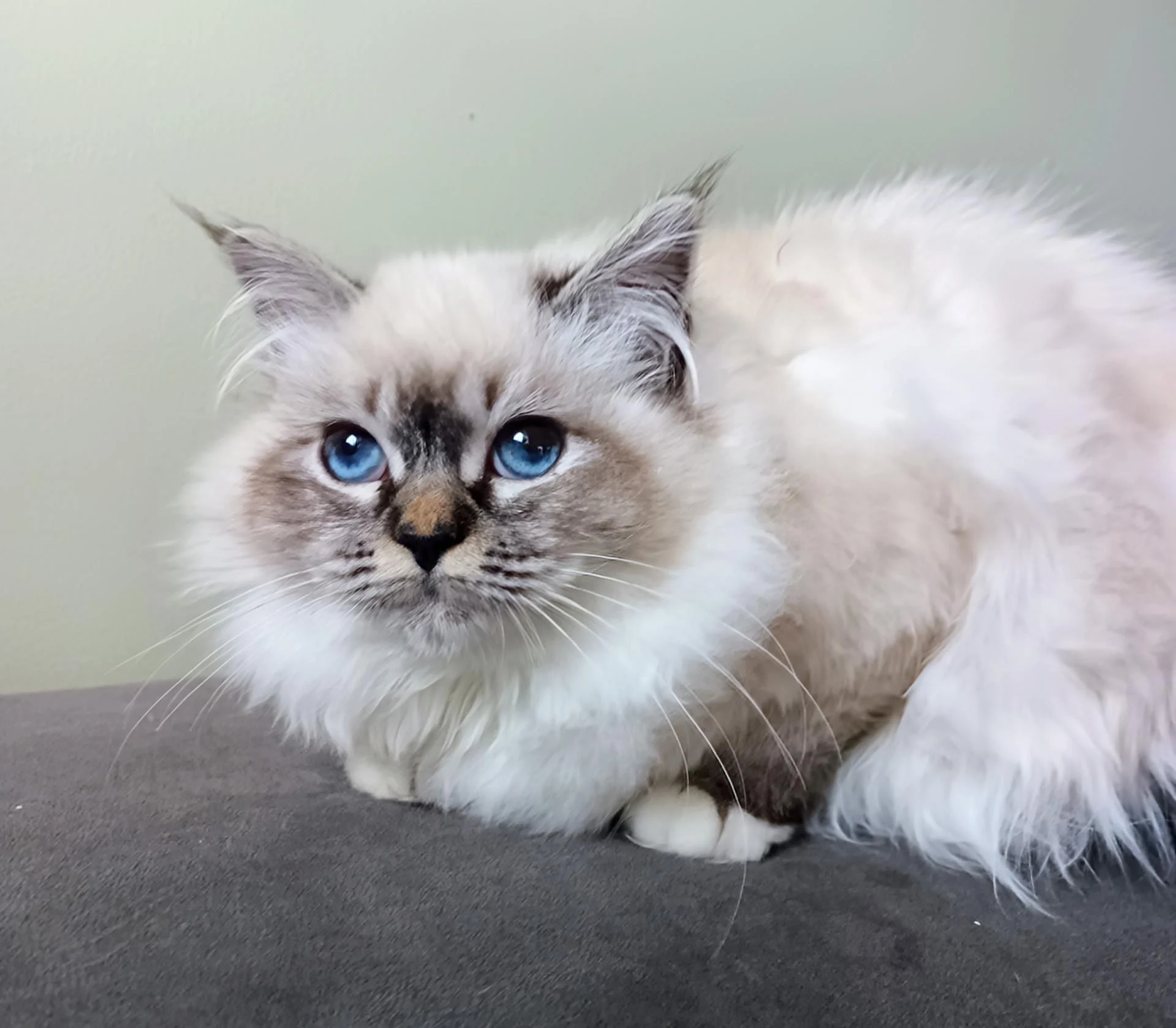 Img 20260206 172118 529 2