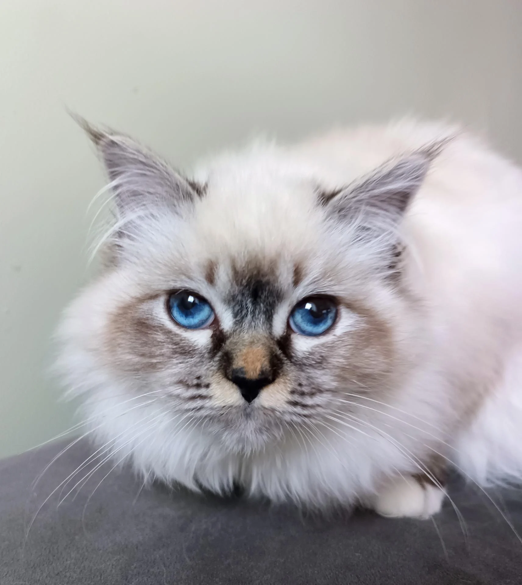 Img 20260206 172203 729 2