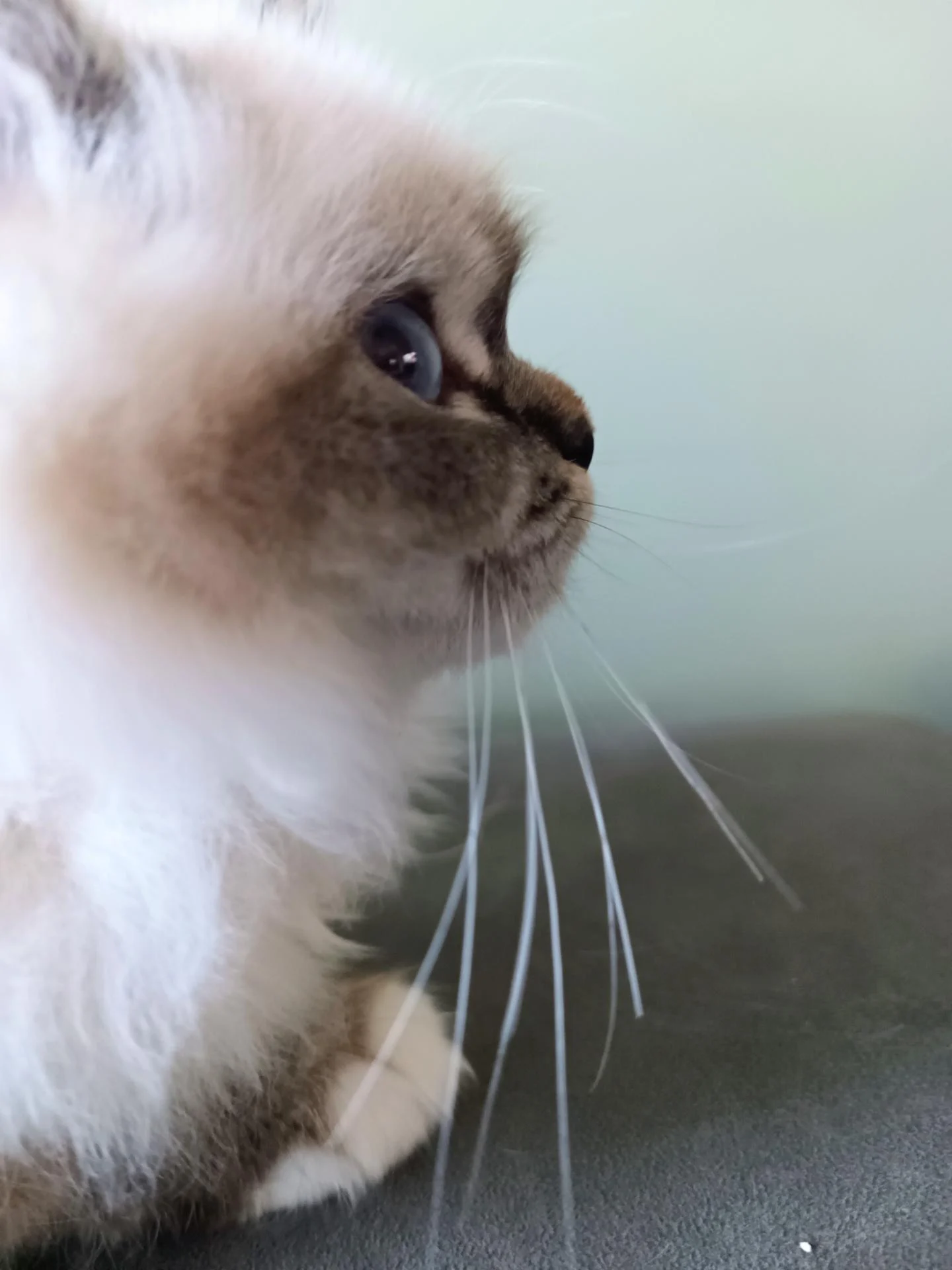 Img 20260206 172220 369 2