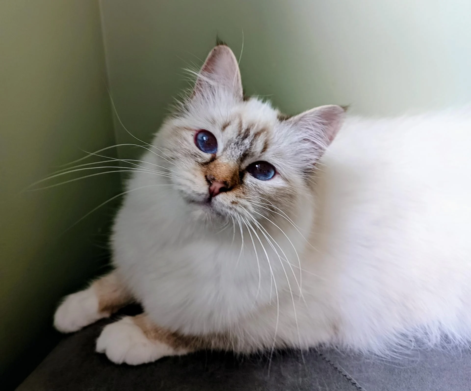 Img 20260322 141010 282 2