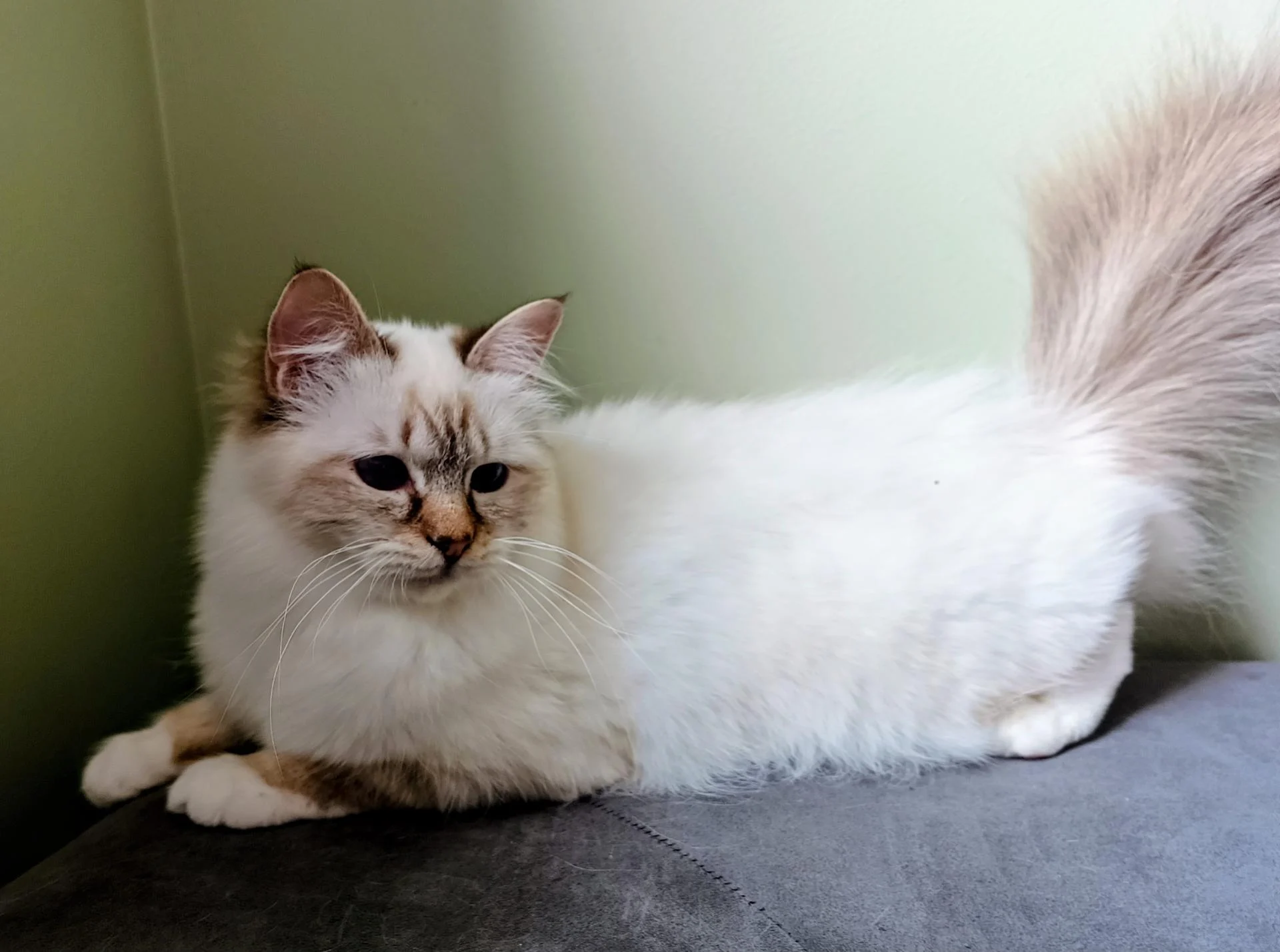 Img 20260322 141014 781 2