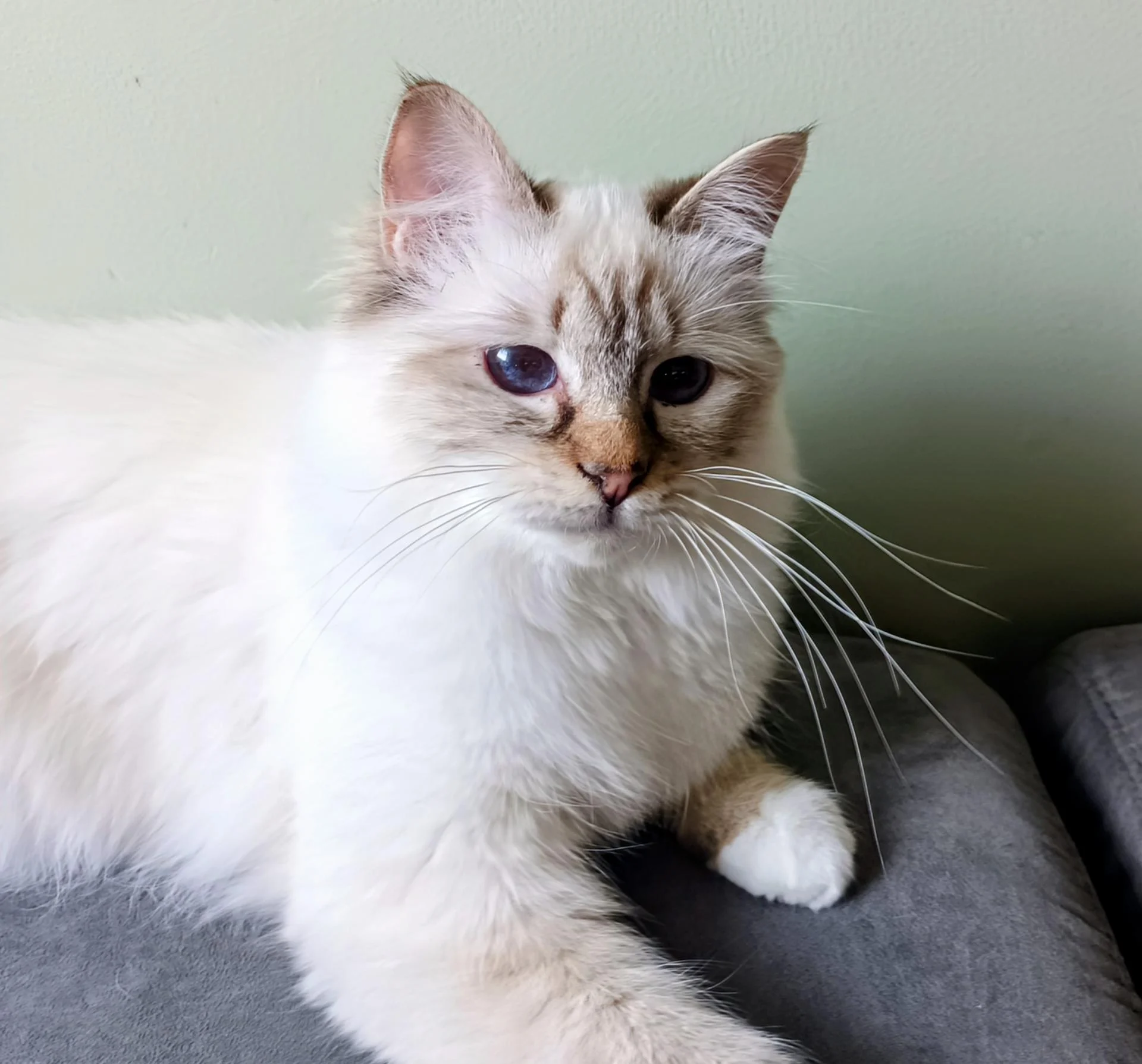 Img 20260322 141031 386 2