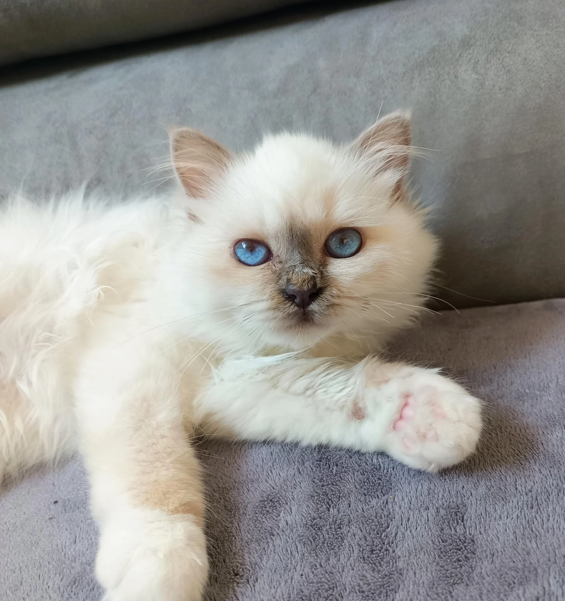 Img 20260322 145213 879 2