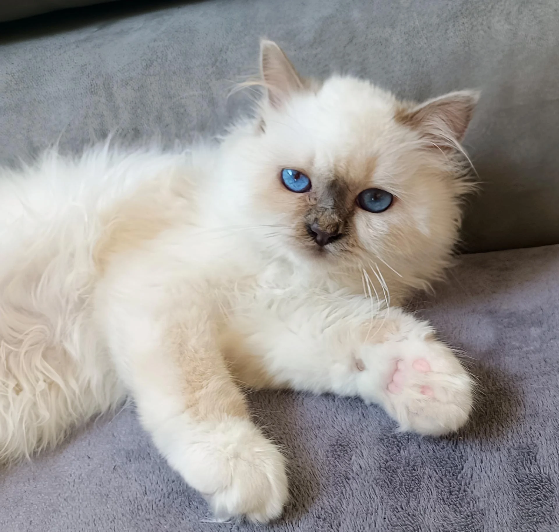 Img 20260322 145221 771 2