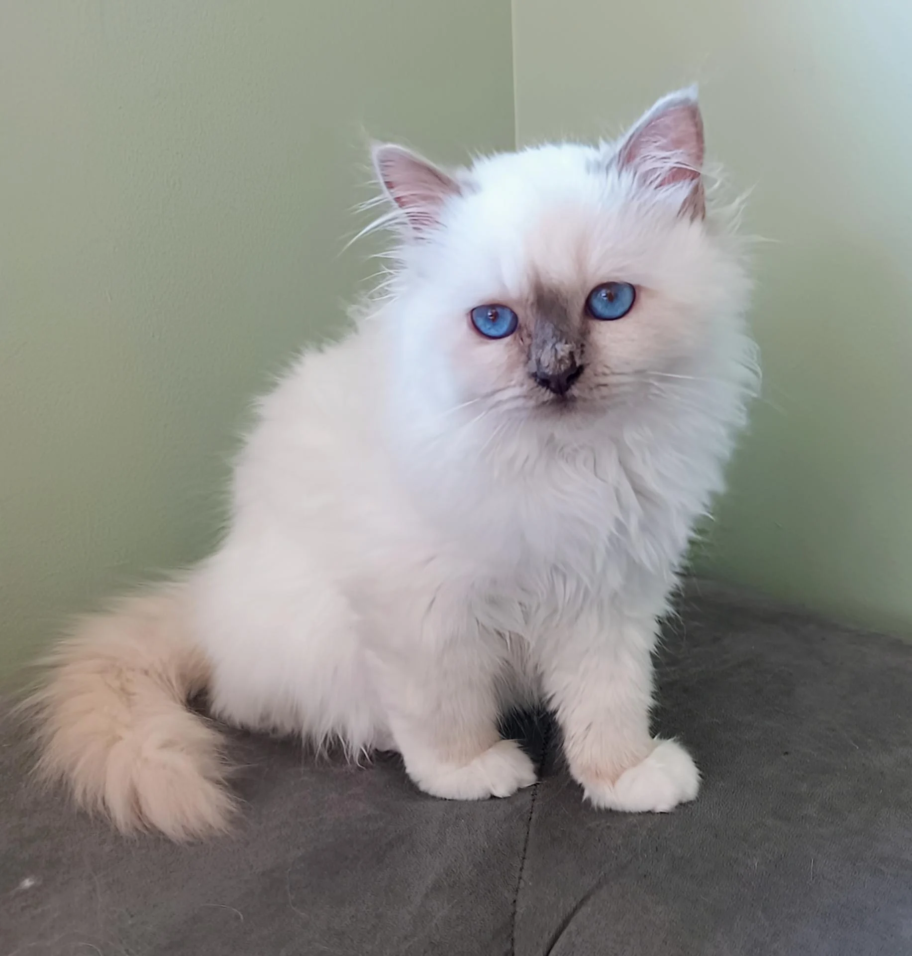 Img 20260322 145450 938 2