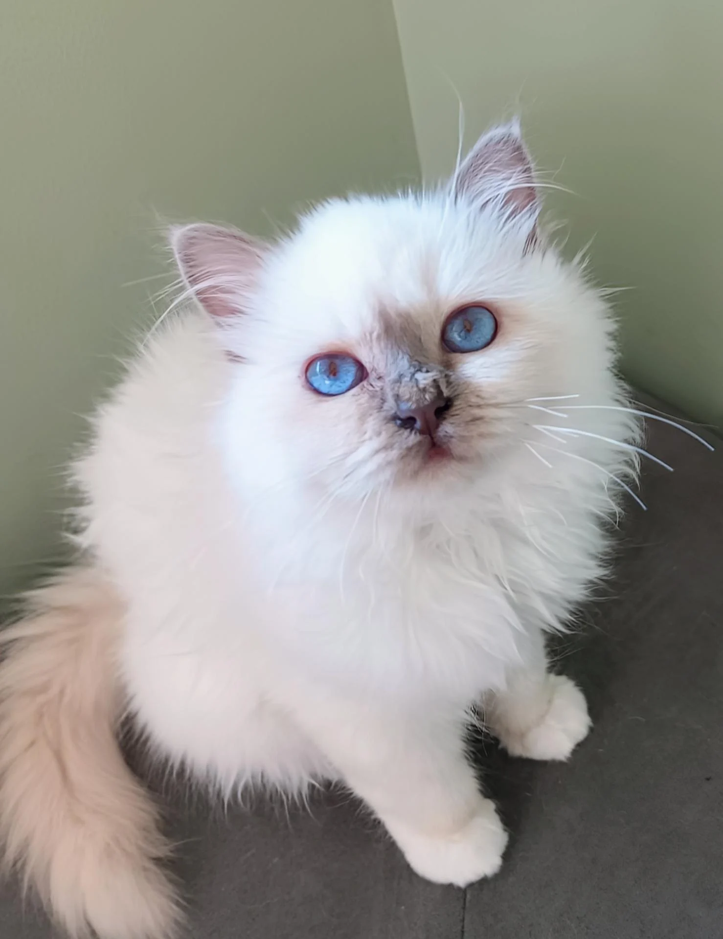 Img 20260322 145516 880 2